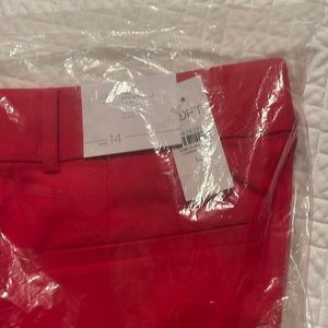 NWT LOFT Curvy Riviera Cropped Pants